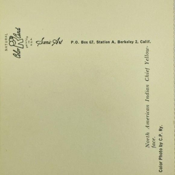 Cree Native American Chief Yellowface Vintage Unused Chrome Postcard Color Card - Picture 9 of 9